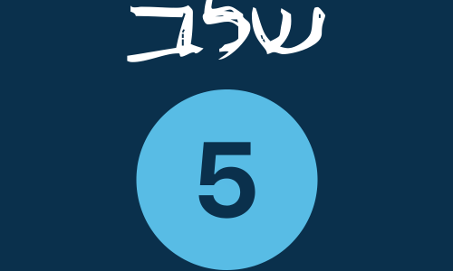 5 5