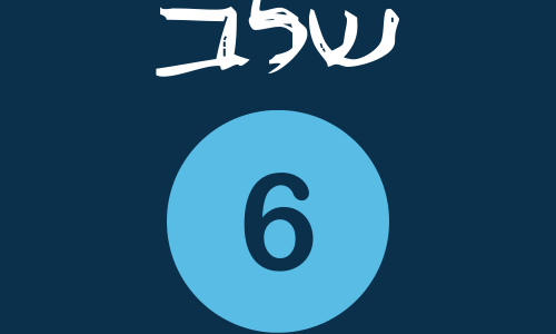6 6