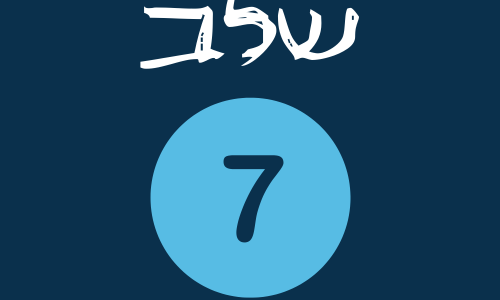 7 7